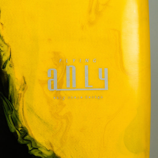 Anly WS ショートボード