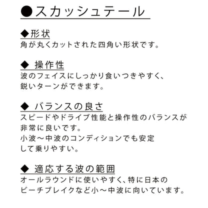 Anly S2 ショートボード